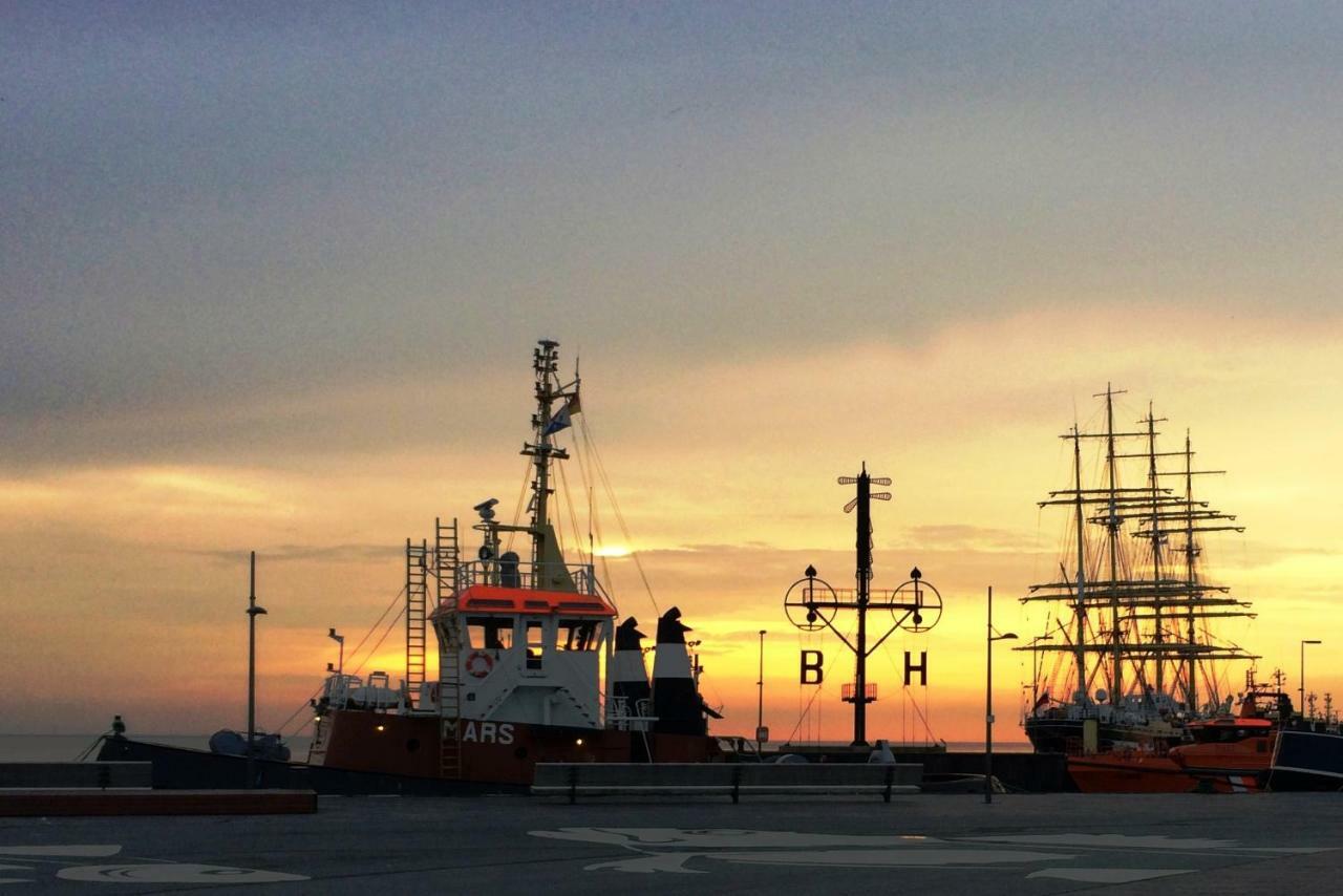 Robbe * Bremerhaven